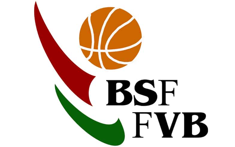 LOGO-FVIB